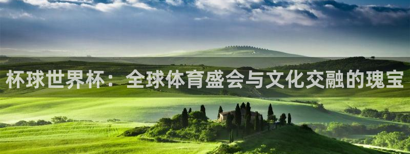 2026世界杯中国队：杯球世界杯：全球体育盛会与文化交融的瑰宝
