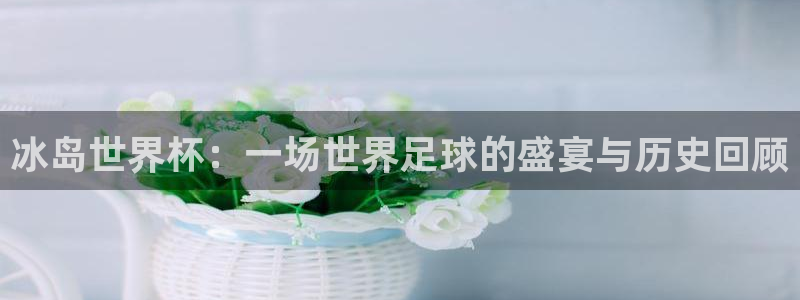 世界杯亚洲区预选赛：冰岛世界杯：一场世界足球的盛宴与历史回顾