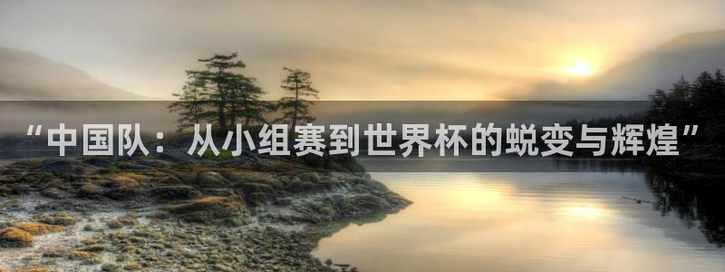 2026 世界杯：“中国队：从小组赛到世界杯的蜕变与辉煌”
