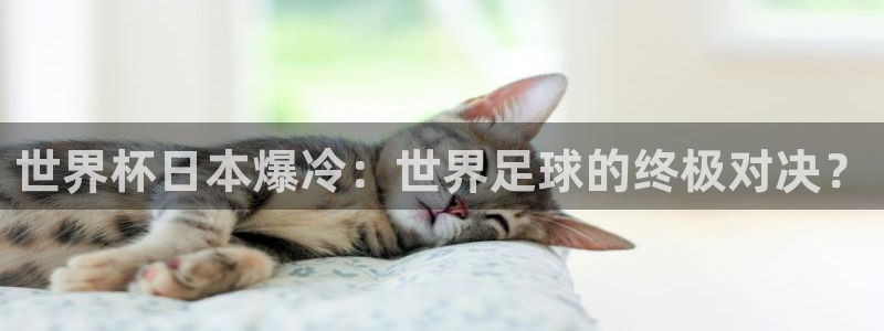 2026世界杯官网入口：世界杯日本爆冷：世界足球的终极对决？