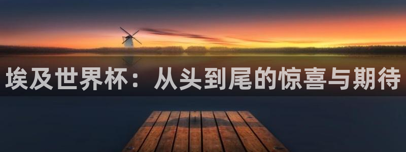 世界杯足球赛：埃及世界杯：从头到尾的惊喜与期待