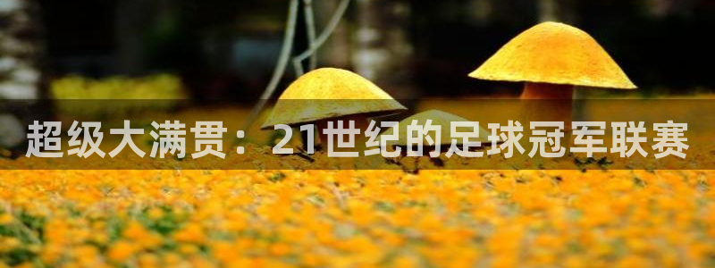 世界杯预选赛2026：超级大满贯：21世纪的足球冠军联赛