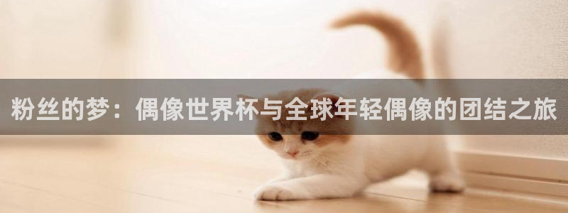 世界杯2026赛程时间表格：粉丝的梦：偶像世界杯与全球年轻偶像的团结之旅