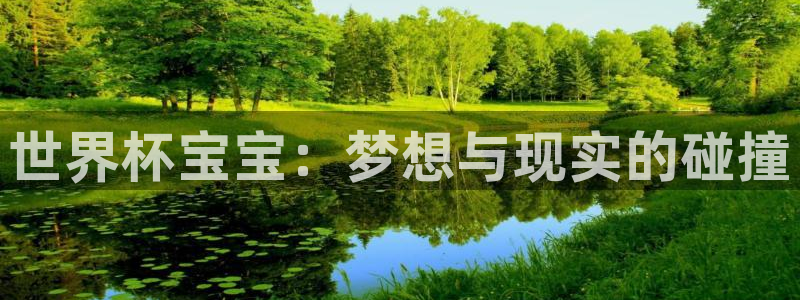 足球比分直播世界杯：世界杯宝宝：梦想与现实的碰撞