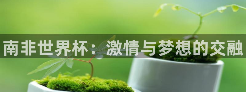 男足世界杯预选赛赛程：南非世界杯：激情与梦想的交融