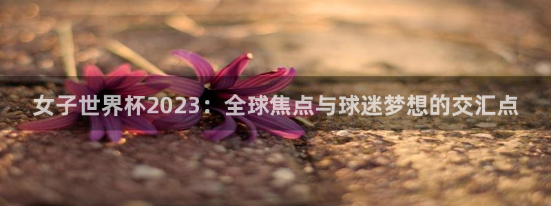 2026世预赛全部赛程：女子世界杯2023：全球焦点与球迷梦想的交汇点