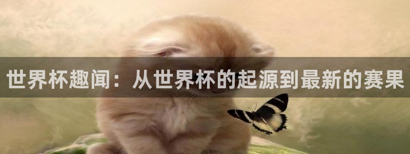 世界杯48支球队赛制：世界杯趣闻：从世界杯的起源到最新的赛果