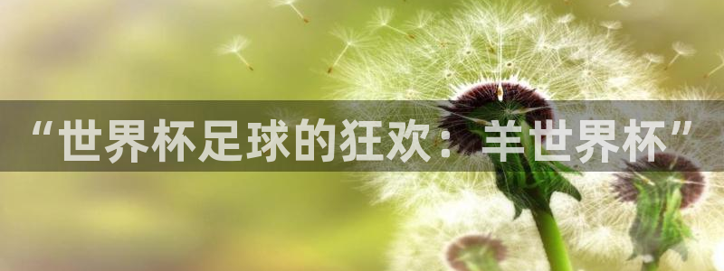 足球世界杯2026年赛程时间表：“世界杯足球的狂欢：羊世界杯”