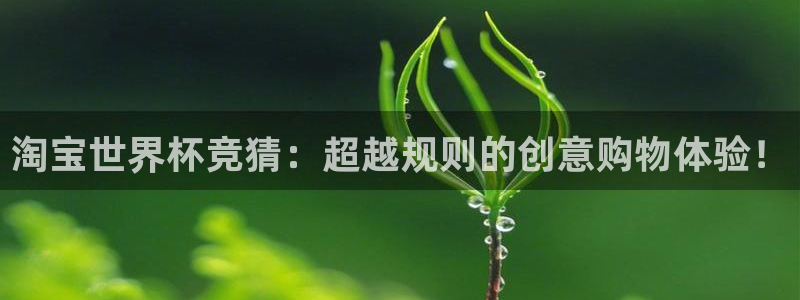2026足球世界杯赛程：淘宝世界杯竞猜：超越规则的创意购物体验！