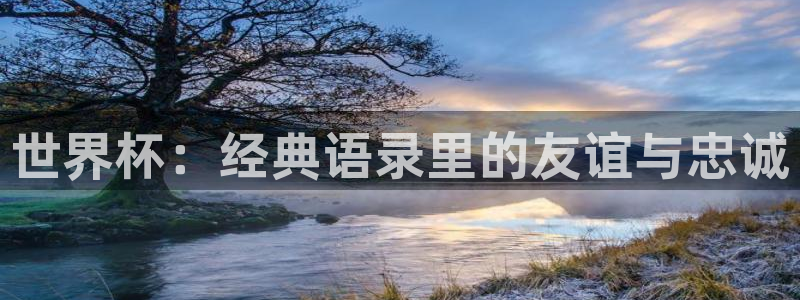 看世界杯：世界杯：经典语录里的友谊与忠诚