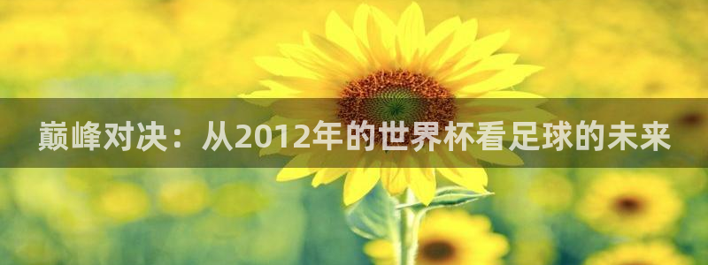 世界杯直播在线观看入口：巅峰对决：从2012年的世界杯看足球的未来